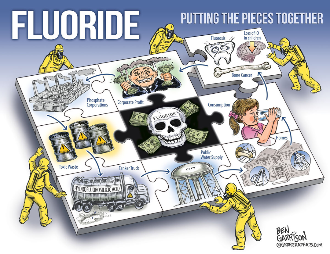 Fluoride Puzzle panel 1